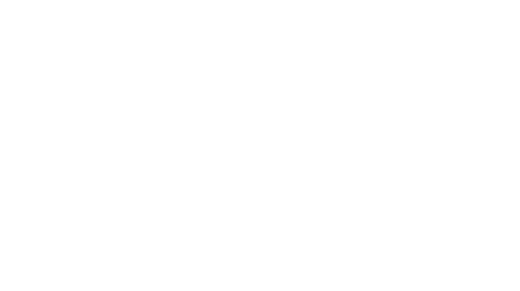 CYR Investment SRL